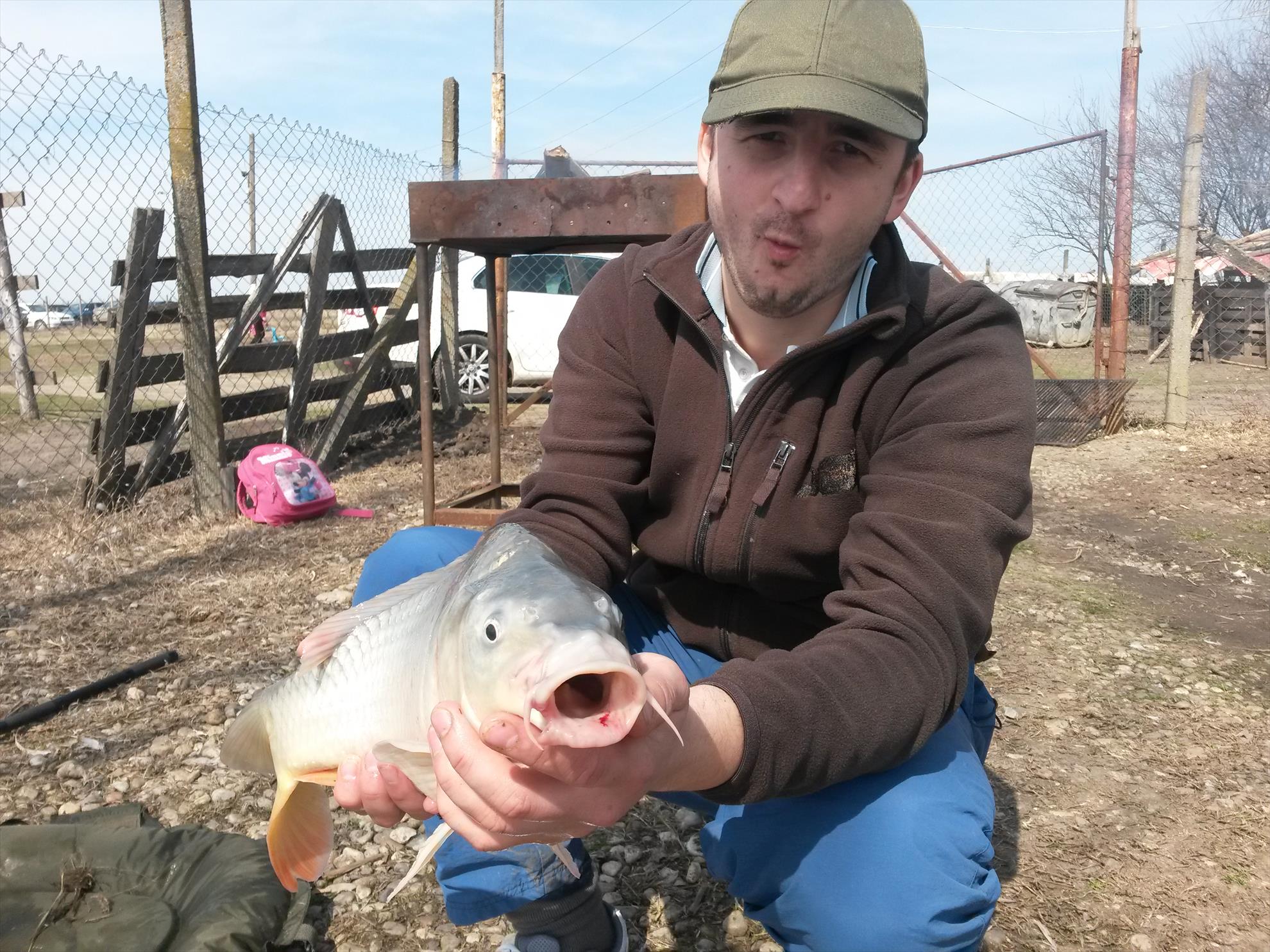 Greaca Cercani 22 mar. - 20150322132327.jpg